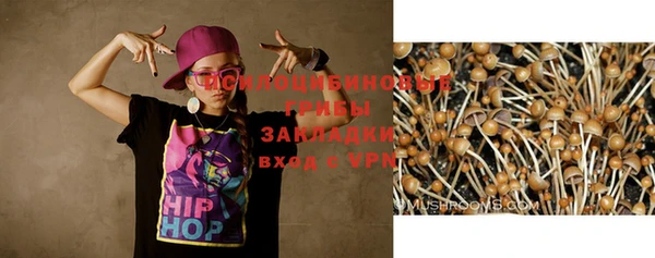 гидропоника Абинск