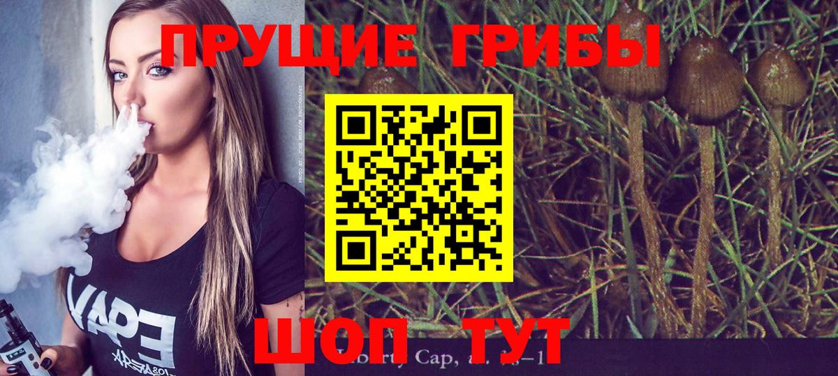 Южноуральск  Галлюциногенные грибы GOLDEN TEACHER  Вход с VPN 