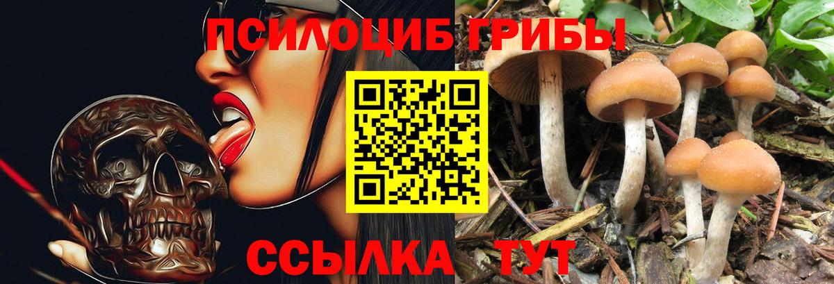 Псилоцибиновые грибы ЛСД Южноуральск